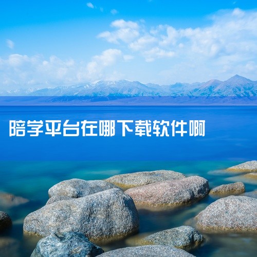 以下是一些可以一起学习的软件推荐：一起学习乐园：作为中国首个将德国游戏化教学模式与情景式动漫学习相结合的小学生在线学习软件，其核心载体为动画《机器蜂前传之蜂王号》。该软件被教育部“十一五”全国教育技术,