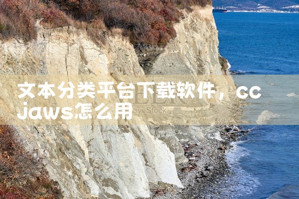 文本分类平台下载软件