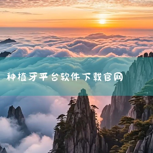 该平台通过简化流程和可视化预览，降低了传统整牙的时间与空间成本。3. 其他相关软件Invisalign隐形矫正助手：属于整牙软件类别，可能支持效果预览功能，但具体功能需进一步验证；正雅小秘书、Tray|