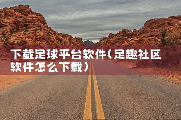 下载足球平台软件