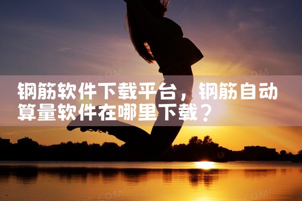 钢筋软件下载平台