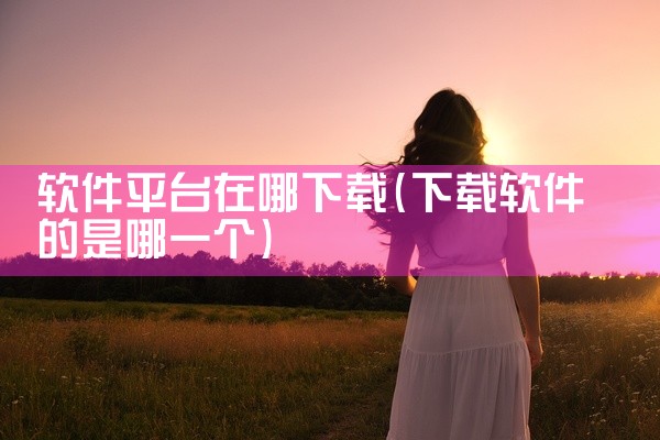 软件平台在哪下载