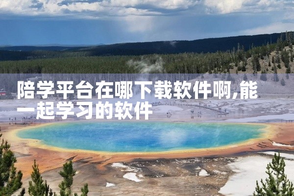 陪学平台在哪下载软件啊