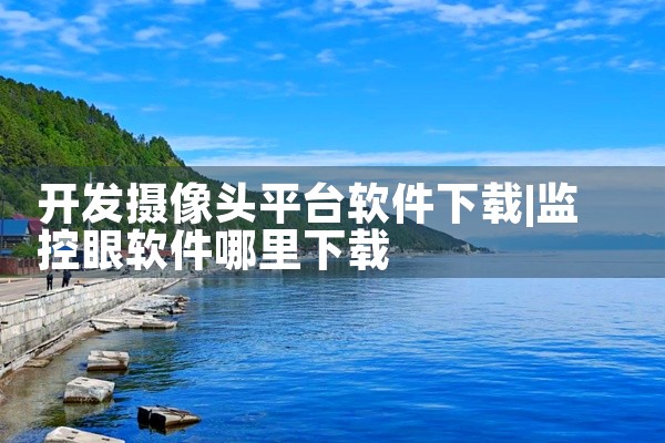 开发摄像头平台软件下载